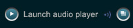 Lauch audio player